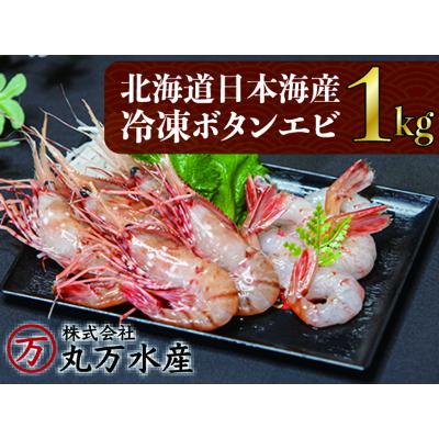ふるさと納税 増毛町 名取り草エビ1kg(34尾〜46尾) 食品-エビ-ボタンエビ