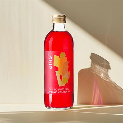 ふるさと納税 川口市 _SHIP KOMBUCHA SHISO FUTURE シソフューチャー (300ml×12本)