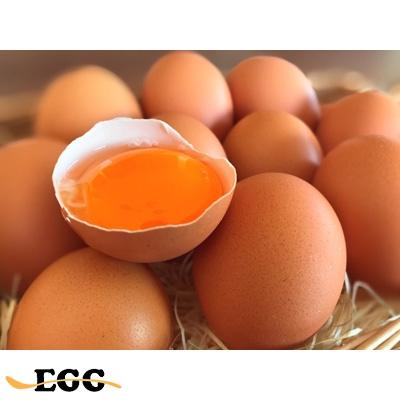 ふるさと納税 鈴鹿市 たまごジャム2個セット&amp;300日の幸せたまご(30個入り)