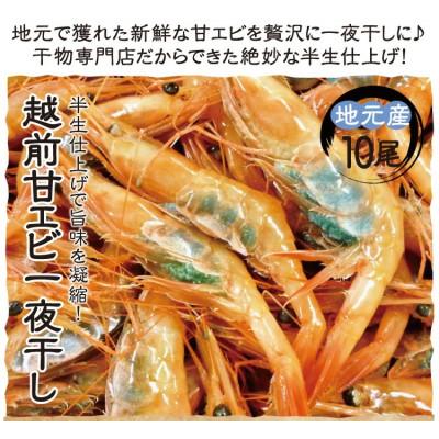 ふるさと納税 越前町 越前　甘えび一夜干し　H24年大日本水産会会長賞受賞｜y-sf｜04