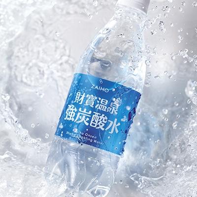 ふるさと納税 垂水市 財寶温泉 強炭酸水 500ml×48本|y-sf|02