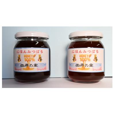 ふるさと納税 四條畷市 日本みつばちが集めた貴重なはちみつ(百花蜜)をお届けします。