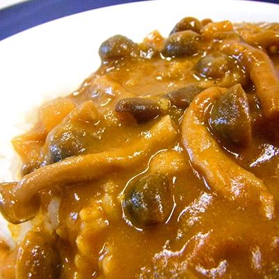 A7人気シール帳 ふるさと納税 長野市 信大きのこカレー・ハヤシ各25袋セット 【MYK7847995505】(28600円)