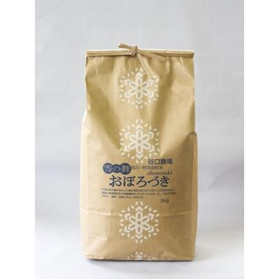 ふるさと納税 旭川市 令和5年産 特別栽培米 おぼろづき 白米 5kg×1袋_00923