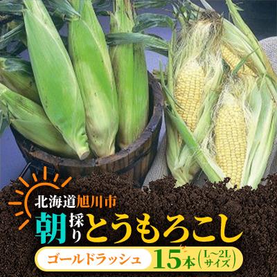 ふるさと納税 旭川市 [2026年発送]朝採りとうもろこしゴールドラッシュL〜2L×15本_01707