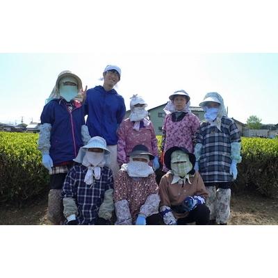 ふるさと納税 村上市 村上銘茶詰め合せC  C4030の画像