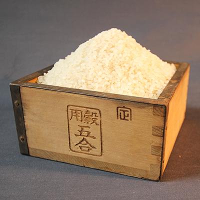 ふるさと納税 旭川市 【令和6年産米】&rdquo;無洗米&rdquo;ふっくら美味しい旭川米!ななつぼし5kg_00431