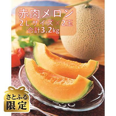 ふるさと納税 旭川市 [さとふる限定]北海道の大地が育んだ「赤肉メロン」約1.6kg×2玉_01158