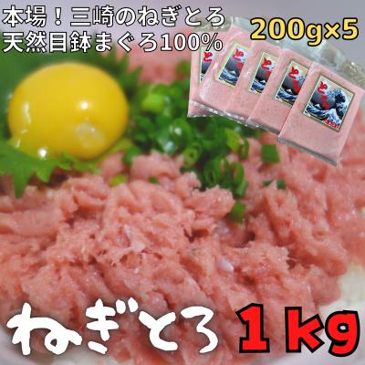 ふるさと納税 三浦市 [防腐剤、着色料不使用]自家製とろみ(ねぎとろ用)合計1キロ!本物の味をお届け!