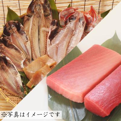 ふるさと納税 三浦市 魚音おまかせ干物&amp;まぐろセット