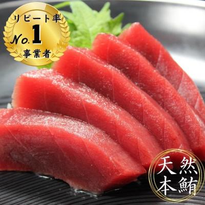 ふるさと納税 三浦市 天然本鮪赤身1kg