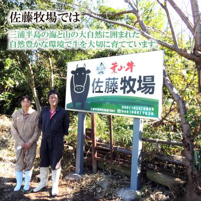 ふるさと納税 三浦市 【神奈川県産黒毛和牛】三浦市の佐藤牧場が育てた葉山牛　切り落とし3P｜y-sf｜04