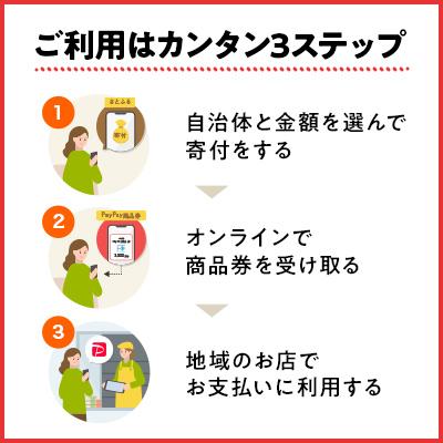 ふるさと納税 亀岡市 京都府亀岡市　PayPay商品券(300円分)※地域内の一部の加盟店のみで利用可｜y-sf｜03