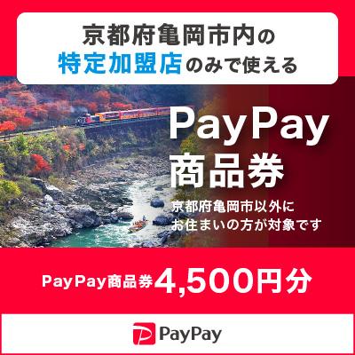 ふるさと納税 亀岡市 京都府亀岡市 PayPay商品券(4,500円分)※地域内の一部の加盟店のみで利用可