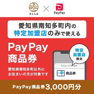 ふるさと納税 南知多町 愛知県南知多町 PayPay商品券(3,000円分)※地域内の一部の加盟店のみで利用可