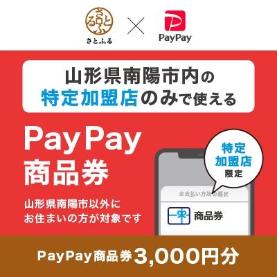 ふるさと納税 南陽市 山形県南陽市 PayPay商品券(3,000円分)※地域内の一部の加盟店のみで利用可