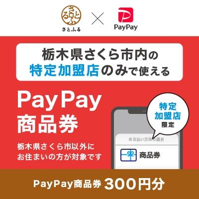 ふるさと納税 さくら市 栃木県さくら市 PayPay商品券(300円分)※地域内の一部の加盟店のみで利用可