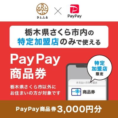 ふるさと納税 さくら市 栃木県さくら市 PayPay商品券(3,000円分)※地域内の一部の加盟店のみで利用可