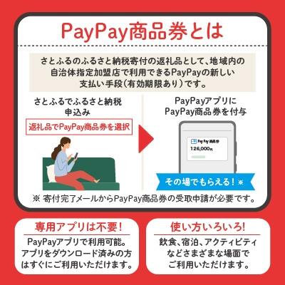 ふるさと納税 さくら市 栃木県さくら市　PayPay商品券(3,000円分)※地域内の一部の加盟店のみで利用可｜y-sf｜02