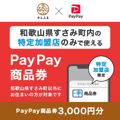 ふるさと納税 すさみ町 和歌山県すさみ町 PayPay商品券(3,000円分)※地域内の一部の加盟店のみで利用可