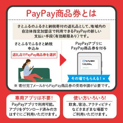 新品未使用！ ふるさと納税 泉南市 大阪府泉南市　PayPay商品券(30，000円分)※地域内の一部の加盟店のみで利用可 【DGJ1207334180】(44000円)
