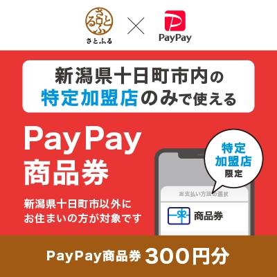 ふるさと納税 十日町市 新潟県十日町市 PayPay商品券(300円分)※地域内の一部の加盟店のみで利用可