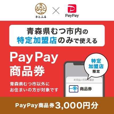 ふるさと納税 むつ市 青森県むつ市 PayPay商品券(3,000円分)※地域内の一部の加盟店のみで利用可