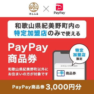 ふるさと納税 紀美野町 和歌山県紀美野町 PayPay商品券(3,000円分)※地域内の一部の加盟店のみで利用可