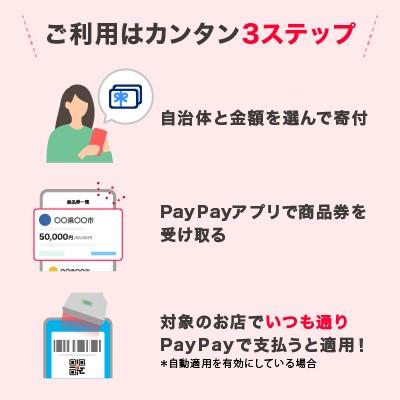 ふるさと納税 有田川町 和歌山県有田川町 PayPay商いもの券(4,500円分)※領域内の構成成分の所属店のみで受け入れる可