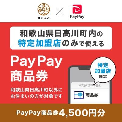 ふるさと納税 日高川町 和歌山県日高川町 PayPay商品券(4,500円分)※地域内の一部の加盟店のみで利用可
