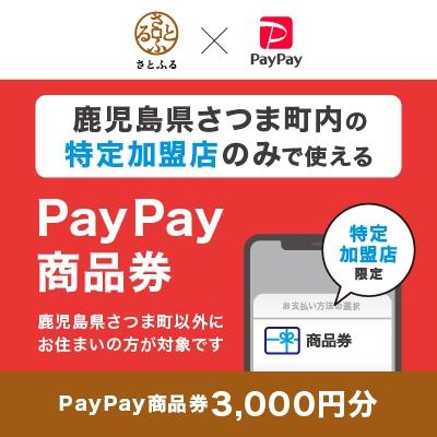 ふるさと納税 さつま町 鹿児島県さつま町 PayPay商品券(3,000円分)※地域内の一部の加盟店のみで利用可