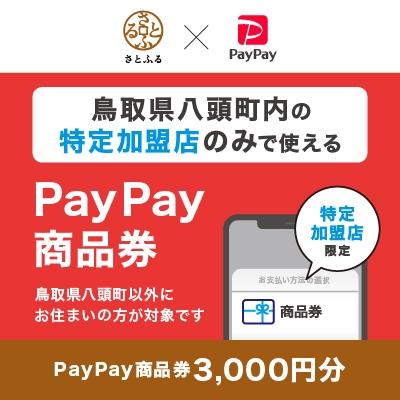 ふるさと納税 八頭町 鳥取県八頭町 PayPay商品券(3,000円分)※地域内の一部の加盟店のみで利用可