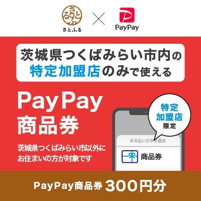 ふるさと納税 つくばみらい市 茨城県つくばみらい市 PayPay商品券(300円分)※地域内の一部の加盟店のみで利用可