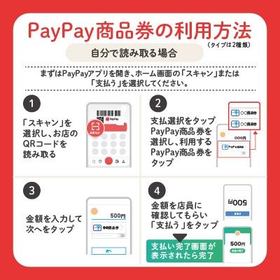 ふるさと納税 那須塩原市 栃木県那須塩原市　PayPay商品券(6,000円分)※地域内の一部の加盟店のみで利用可｜y-sf｜03