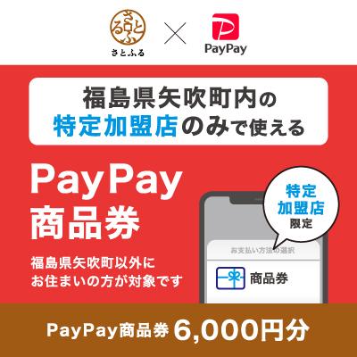 ふるさと納税 矢吹町 福島県矢吹町 PayPay商品券(6,000円分)※地域内の一部の加盟店のみで利用可