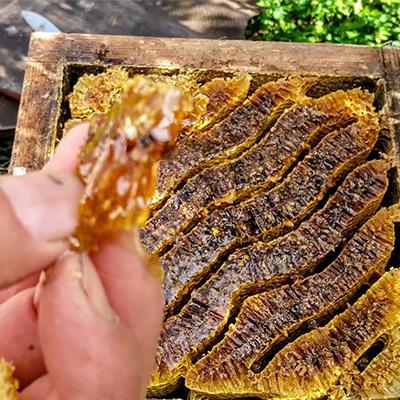 ふるさと納税 枕崎市 ふかざわ農園の生はちみつ 90g×3瓶 日本ミツバチ