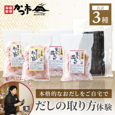 ふるさと納税 枕崎市 [体験型返礼品]動画を見ながら本格出し引きをやってみよう! 枕崎 おだし本舗 かつ市