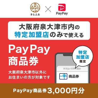 ふるさと納税 泉大津市 大阪府泉大津市 PayPay商品券(3,000円分)※地域内の一部の加盟店のみで利用可