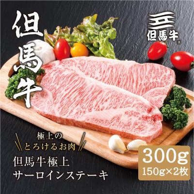 ふるさと納税 養父市 [但馬牛]極上サーロインステーキ 150g×2枚