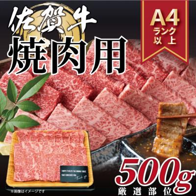 ふるさと納税 伊万里市 艶さし![A4〜A5]佐賀牛焼肉用 500g(伊万里市)