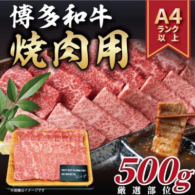 ふるさと納税 芦屋町 [A4〜A5]博多和牛焼肉用 500g(芦屋町)