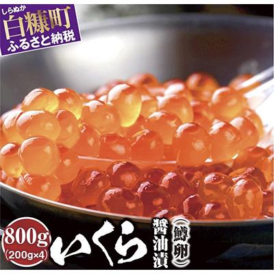 ふるさと納税 白糠町 いくら醤油漬(鱒卵)[800g(200g×4)]