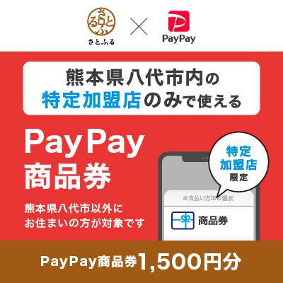 ふるさと納税 八代市 熊本県八代市 PayPay商品券(1,500円分)※地域内の一部の加盟店のみで利用可