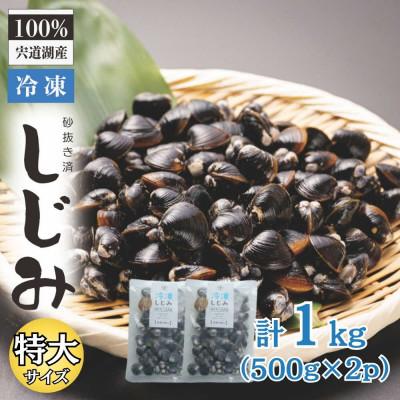 ふるさと納税 松江市 宍道湖産冷凍大和しじみ 特大粒500g×2袋