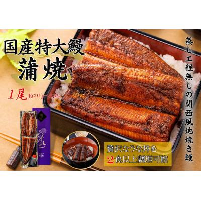 ふるさと納税 松江市 うなぎ蒲焼1尾(蒲焼のタレ付)