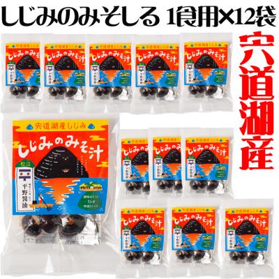 ふるさと納税 松江市 しじみのみそしる1食用×12袋セット