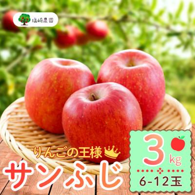 ふるさと納税 飯山市 [先行予約]長野県産 サンふじ 約3kg(6〜12個)[出荷:2025年12月上旬〜]