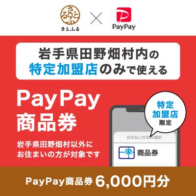 ふるさと納税 田野畑村 岩手県田野畑村 PayPay商品券(6,000円分)※地域内の一部の加盟店のみで利用可
