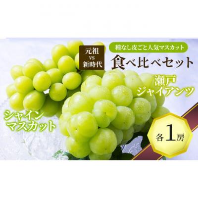 ふるさと納税 丸亀市 種なし皮ごと人気マスカット『食べ比べ』瀬戸ジャイアンツ&amp;シャインマスカット各1房