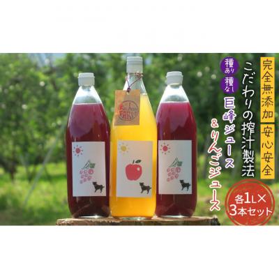 ふるさと納税 山ノ内町 完全無添加・安心安全 種ありナイアガラ/種なし巨峰/りんごのジュース 3本セット